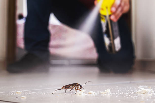 Best Ant Control Services  in Crescent Springs, KY