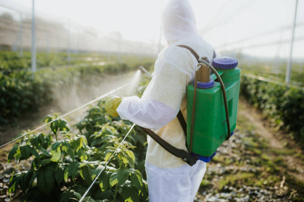 Best Cockroach Control Services  in Crescent Springs, KY